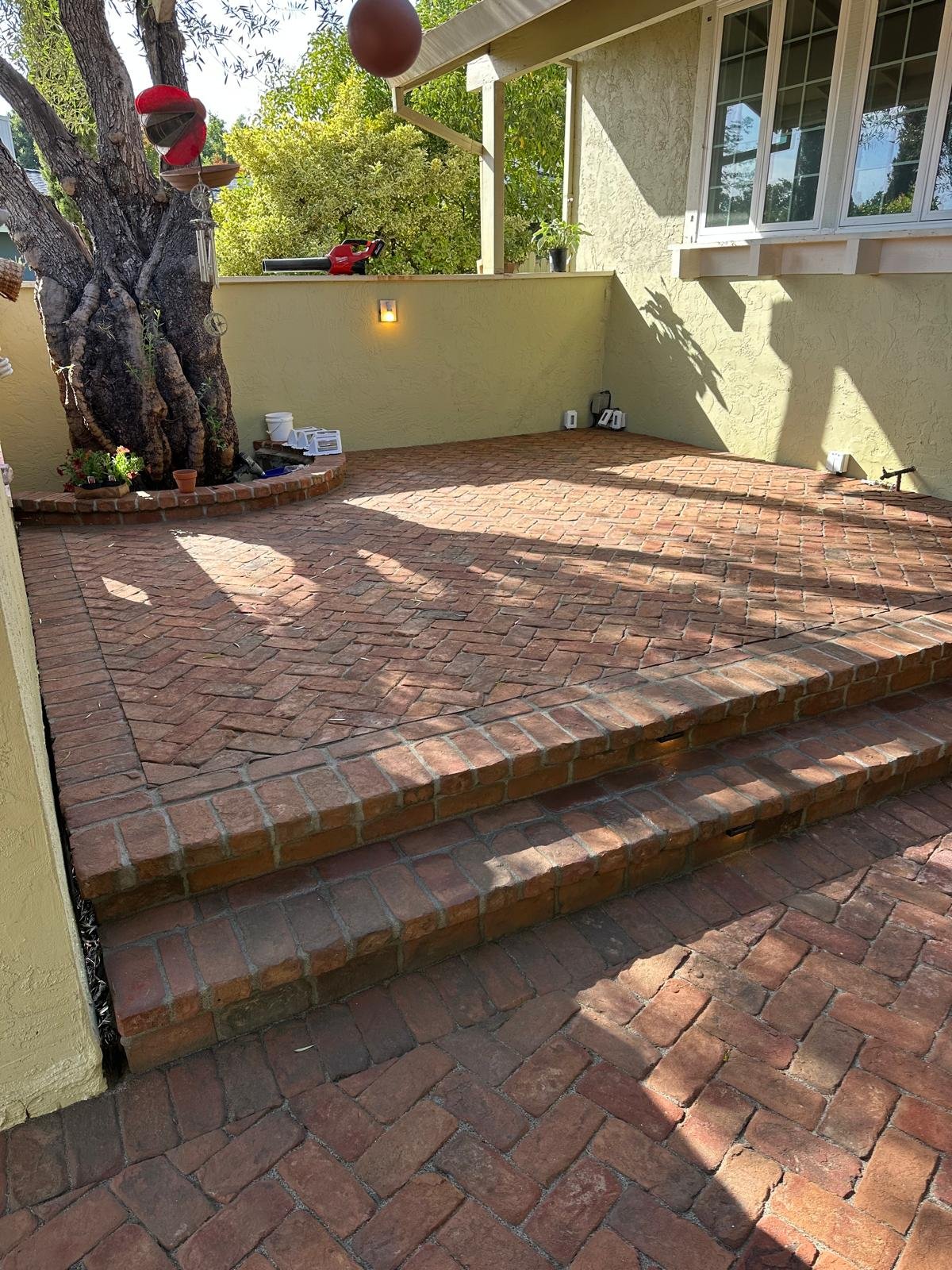 Raised herringbone brick patio with lit brick steps and a brick ring around an olive tree, built by S M Landscaping